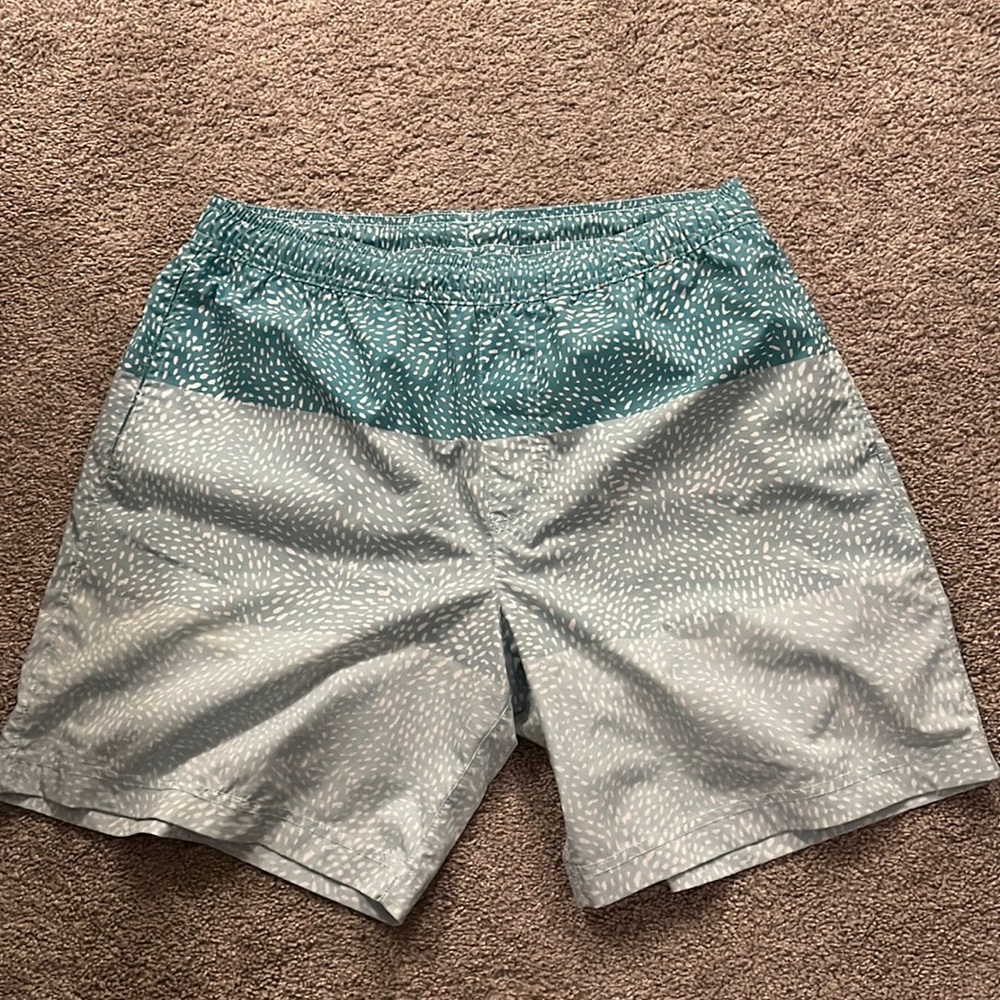 Chubbies Premium Gym Short